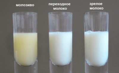 Состав и полезные свойства грудного молока