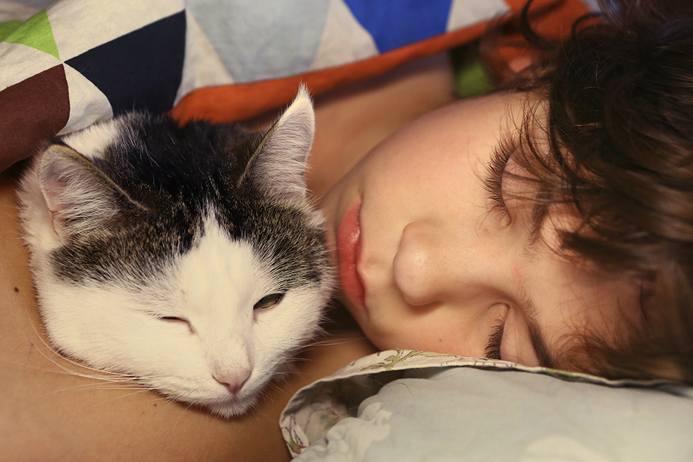 Кошка спит в детской кроватке примета до родов