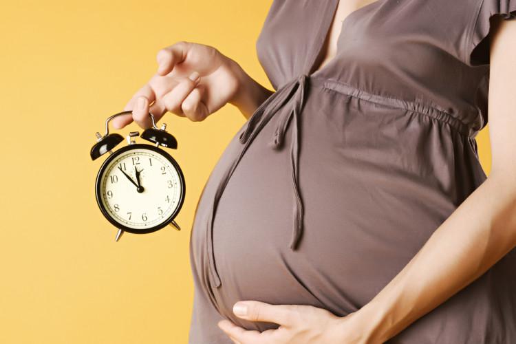 Сроки беременности: акушерский и эмбриональный – как правильно определить срок