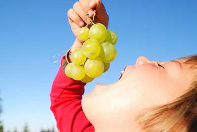 Фрукты и ягоды для детского питания: с какого возраста ребенку можно давать виноград?