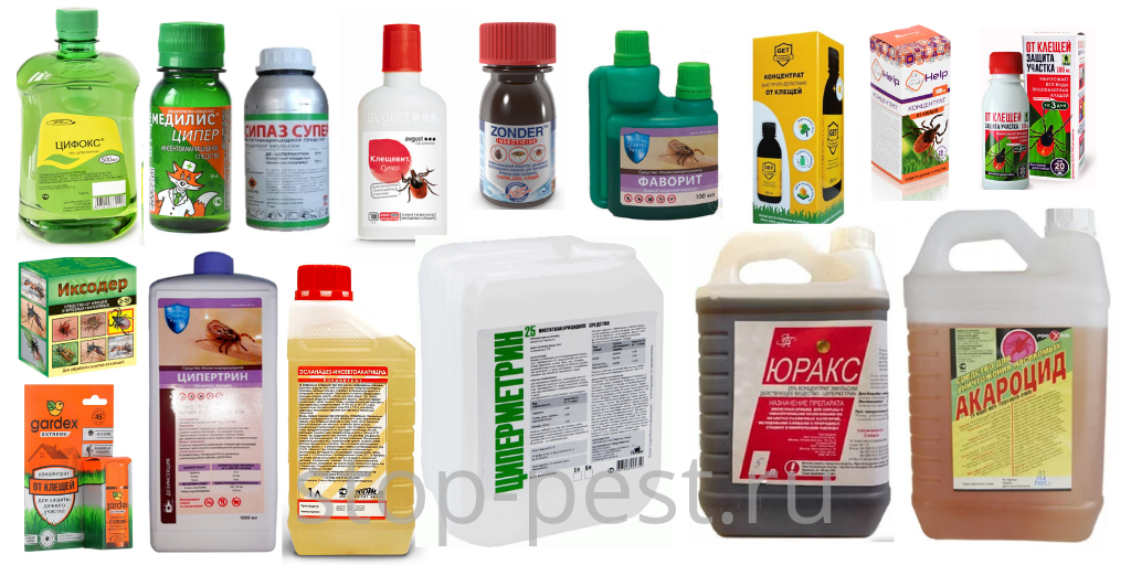 10 главных ошибок при защите от клещей