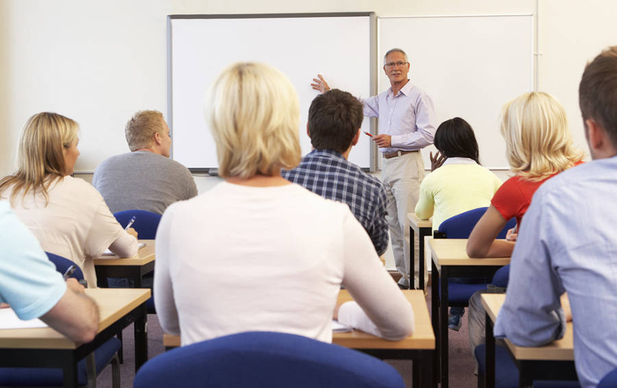 Чему дети учатся у взрослых, а взрослые – у детей?