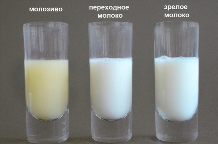 Почему грудное молоко жидкое, как вода, и стоит ли переживать об этом?