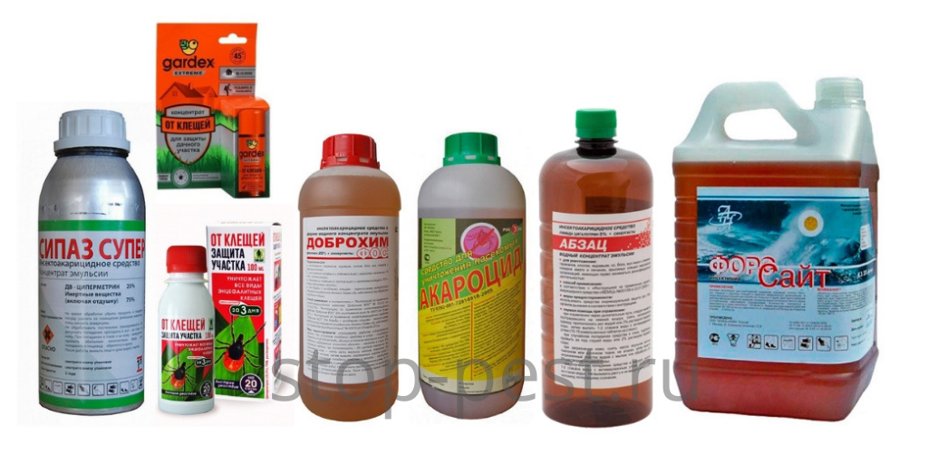 10 главных ошибок при защите от клещей