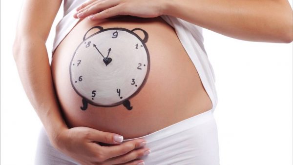 15 неделя беременности: что ожидать и чего бояться в этот период