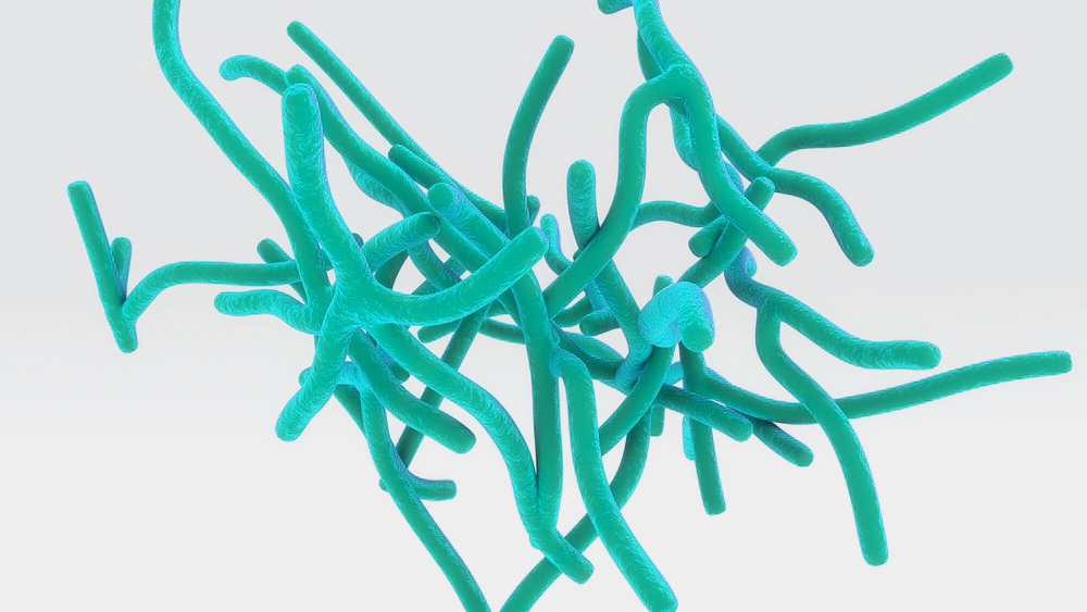 Йодофильная флора у ребенка в кале — норма бактерий для младенцев