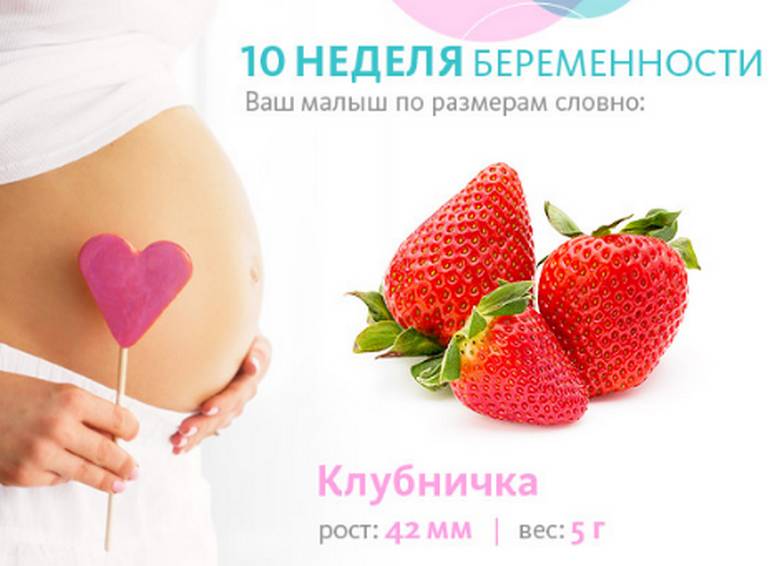 10 неделя беременности: развитие плода | pampers ru