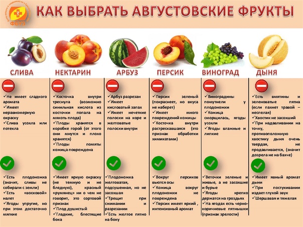 Полезные ягоды и травы, которые собирают в октябре-ноябре в саду и в лесу на supersadovnik.ru
