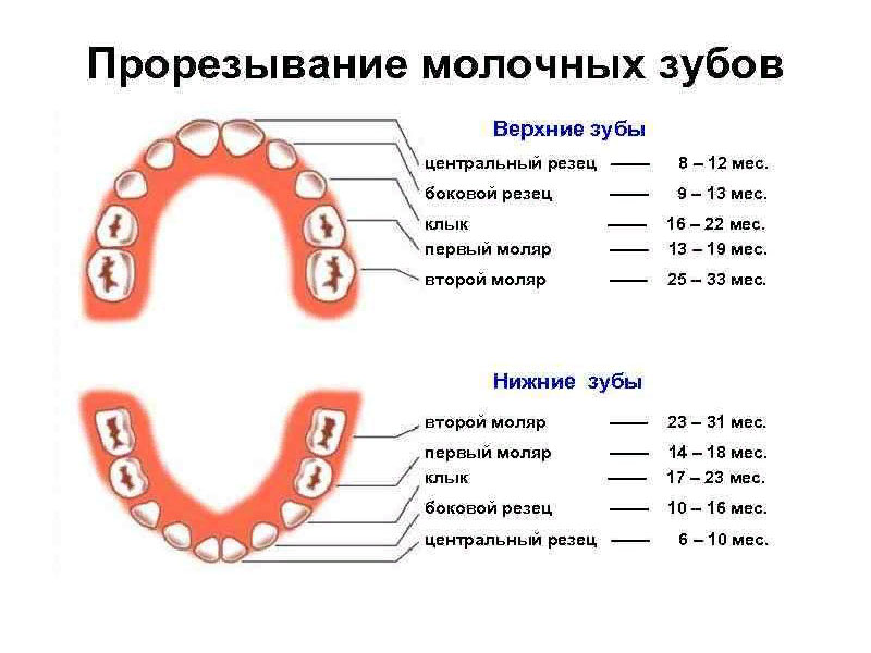 Как облегчить прорезывание зубов у детей: полезные советы