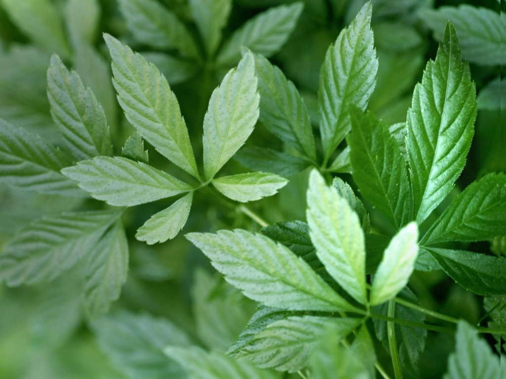 У ребенка твердый живот — причины вздутия