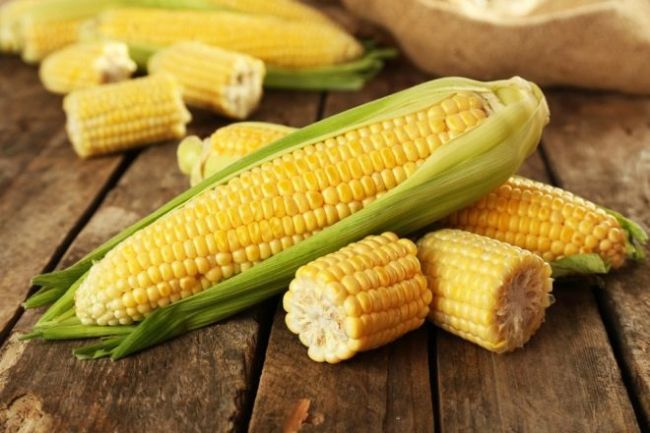 Польза и вред кукурузы при беременности