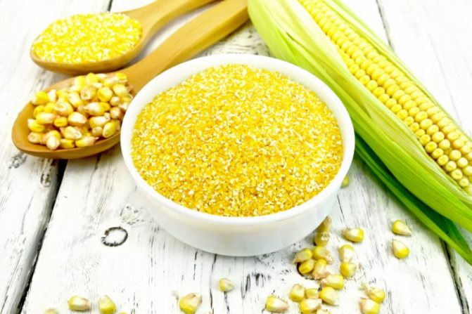 Кукурузная каша для грудничка — польза и вред, как сварить, рецепт