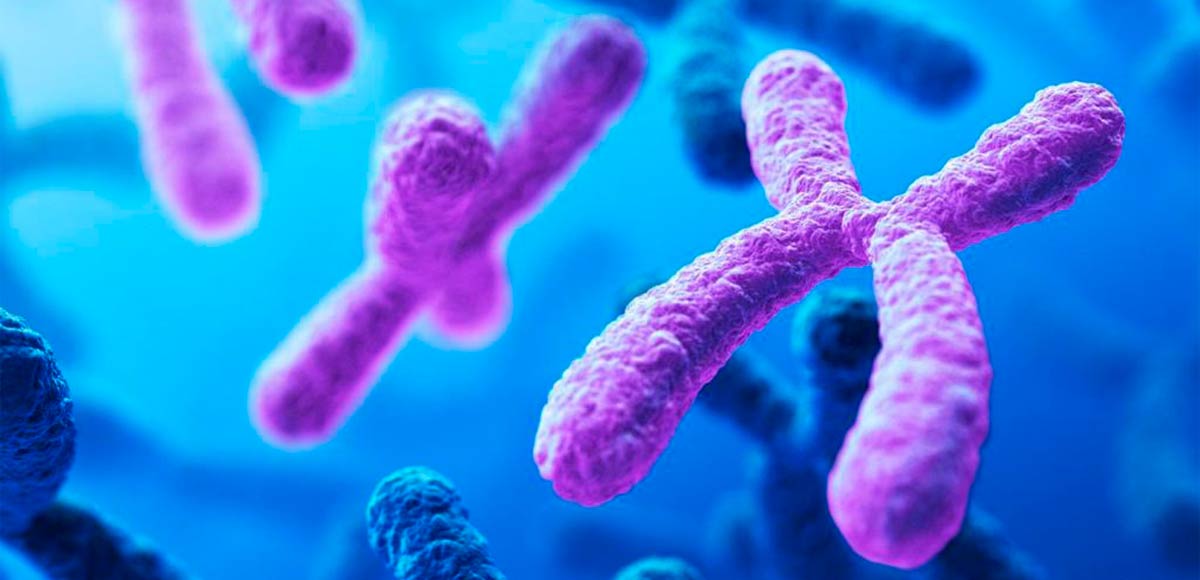 5 действенных методик, которые помогут научить ребёнка различать цвета