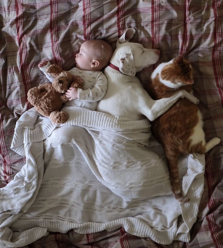 Почему коты спят с детьми и можно ли пускать кошку в кроватку к младенцу