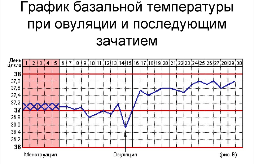Как определить беременность без теста