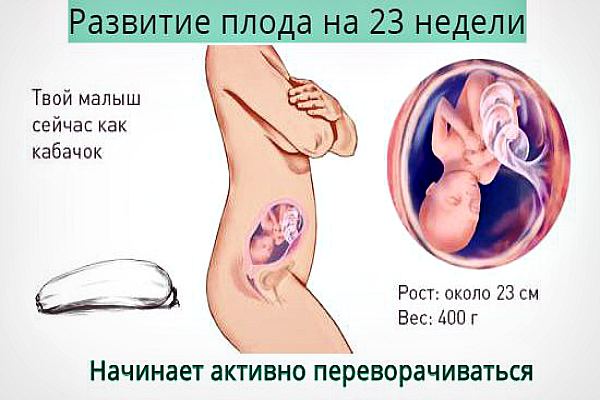 УЗИ на 5 неделе беременности
