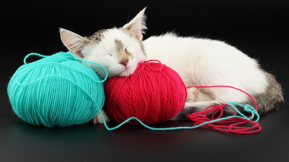 Кошка спит в кроватке с младенцем: опасно ли это