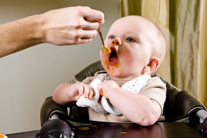 Питание (меню) 6-ти месячного малыша: введение прикорма