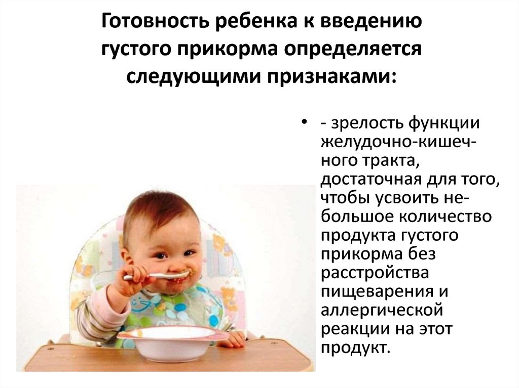 10 правил для прикорма малыша: когда, сколько, с чего