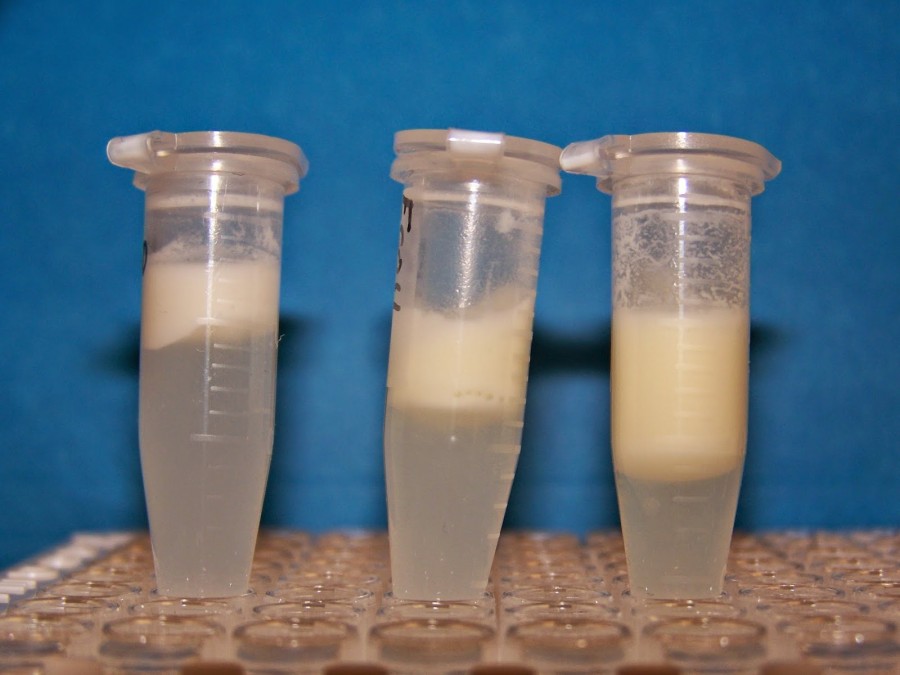Неиссякающий источник: можно ли измерить количество молока в груди?