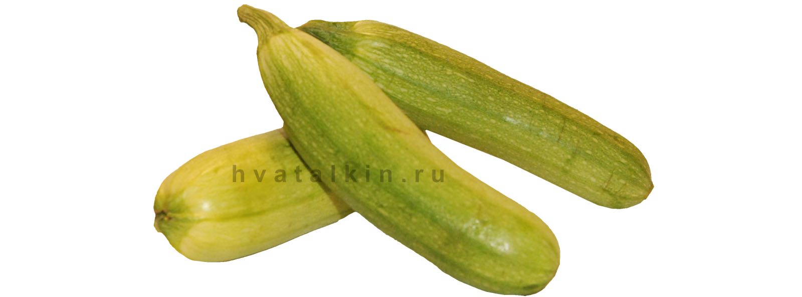 10 признаков, что ребенок готов к введению прикорма