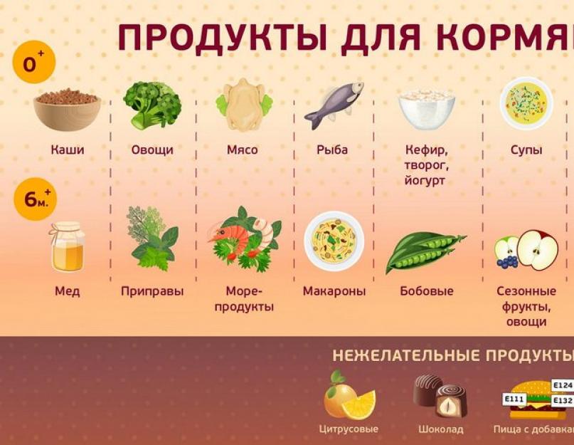 Рецепты для кормящих мам в первый и последующие месяцы после родов, разрешенные блюда