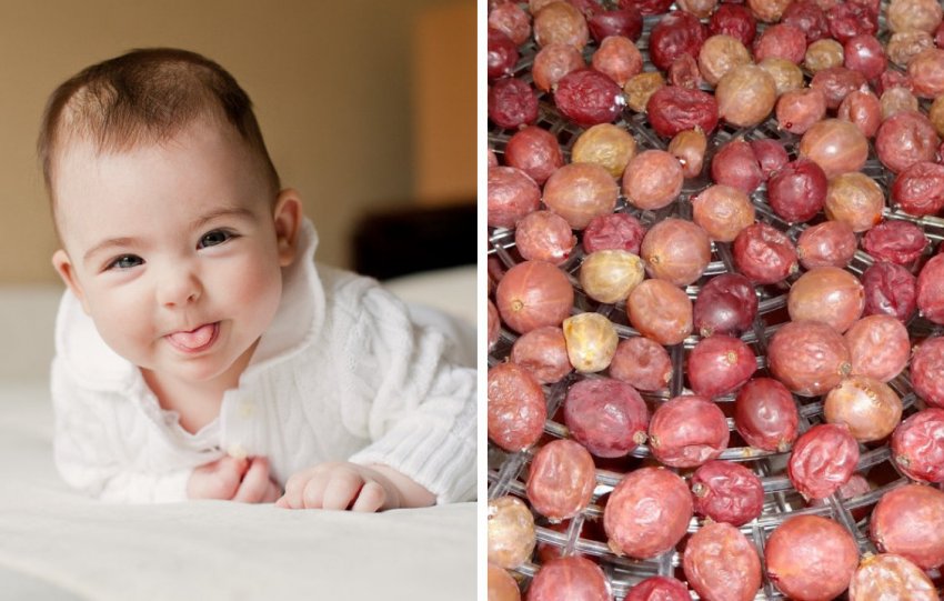 Можно ли кормящей маме крыжовник: личный опыт кормящей мамы