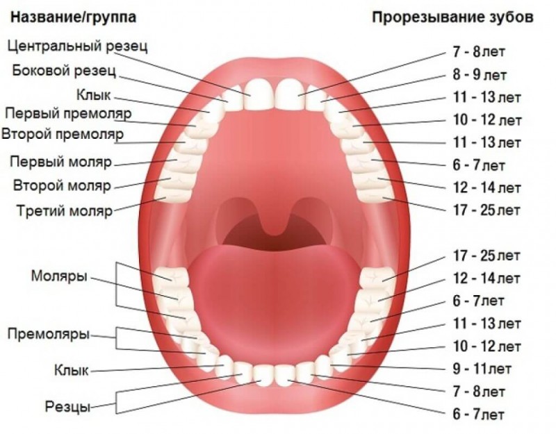 Сопутствующие проблемы при прорезывании зубов
