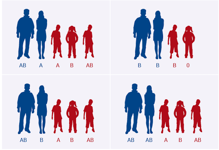 Группа крови у ребенка от родителей — таблица