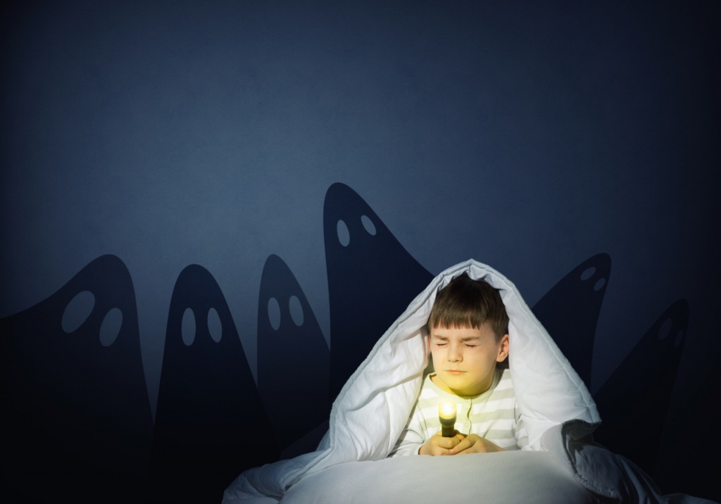 Ночные кошмары и страхи (терроры - в англоязычной литературе) у детей