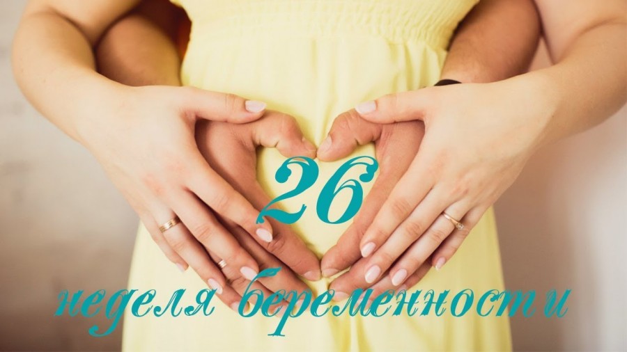 26 неделя беременности