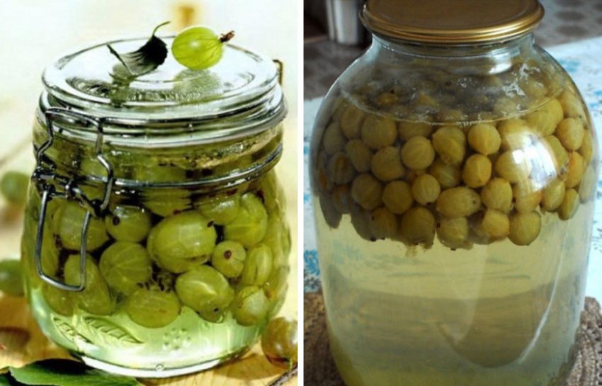 Можно ли кормящей маме крыжовник: личный опыт кормящей мамы