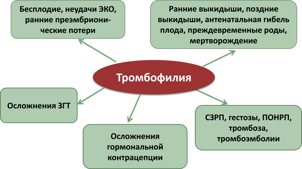 Рожать самой или через кесарево (естественные роды vs кесарево) – опыт многодетной мамы