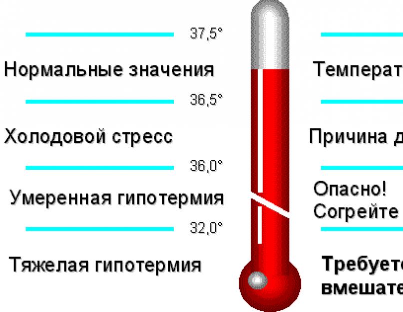 Температура тела - нормальная, повышенная и пониженная | университетская клиника