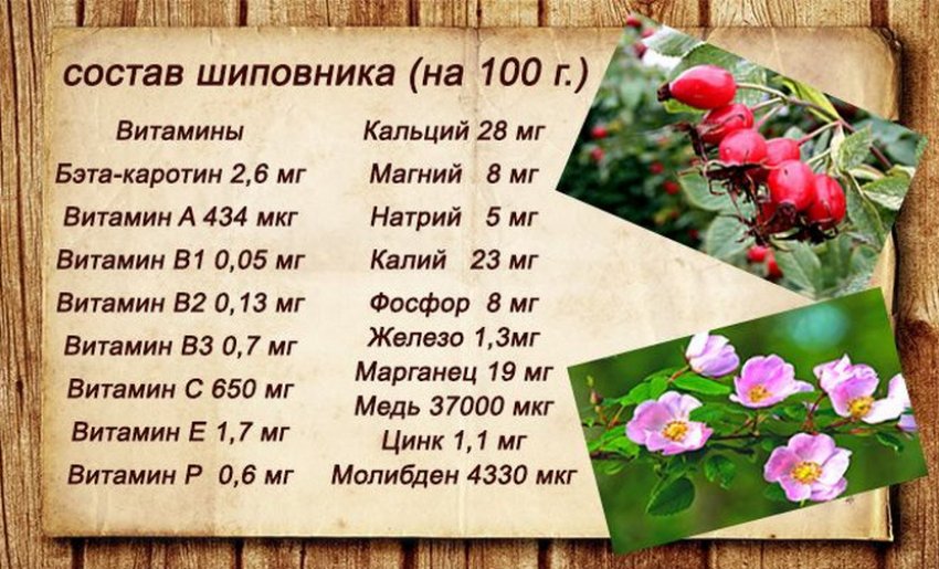 С какого возраста детям можно давать напиток из шиповника?