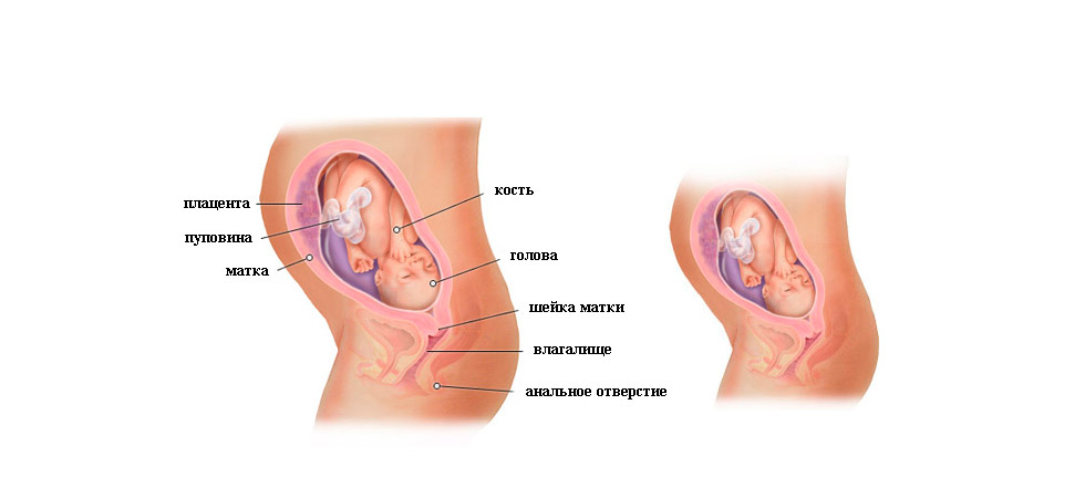 28 неделя беременности