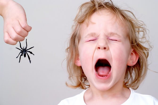 Ребенок боится насекомых | уроки для мам