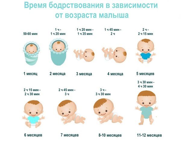 Сколько должен спать ребенок в 6 месяцев | уроки для мам