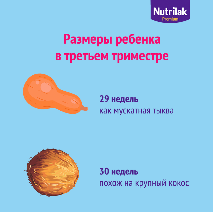 7 неделя беременности