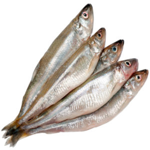 Можно ли есть рыбу во время грудного вскармливания (красная рыба, соленая, копченая, сушеная, речная, жареная, вяленая)