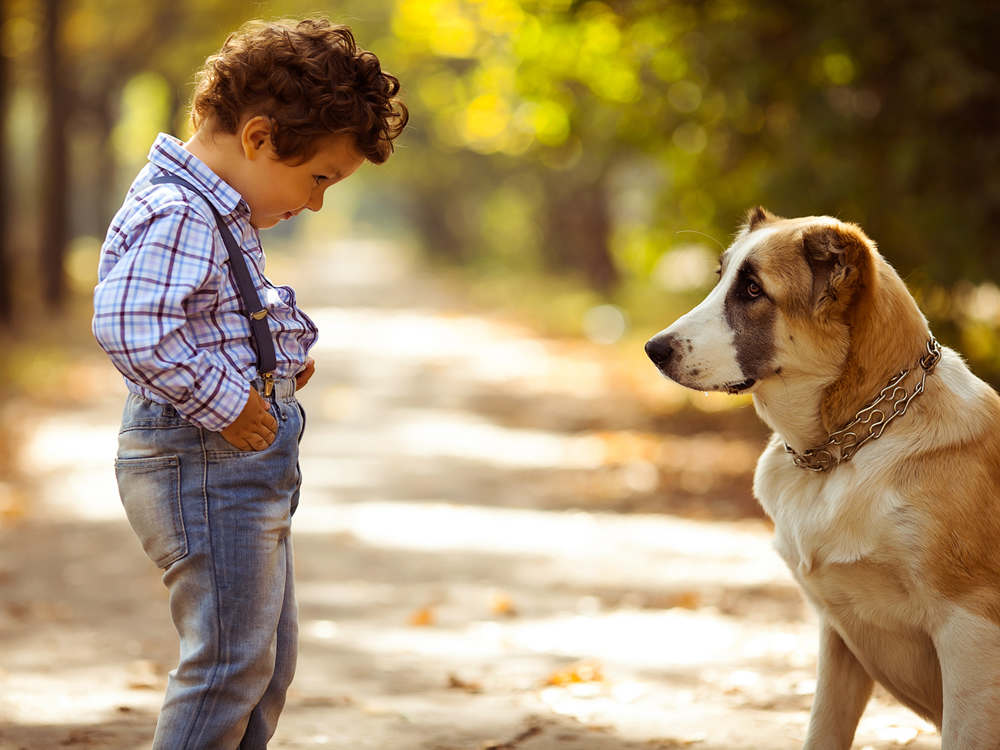 Как устранить агрессию собаки к детям | блог ветклиники "беланта"