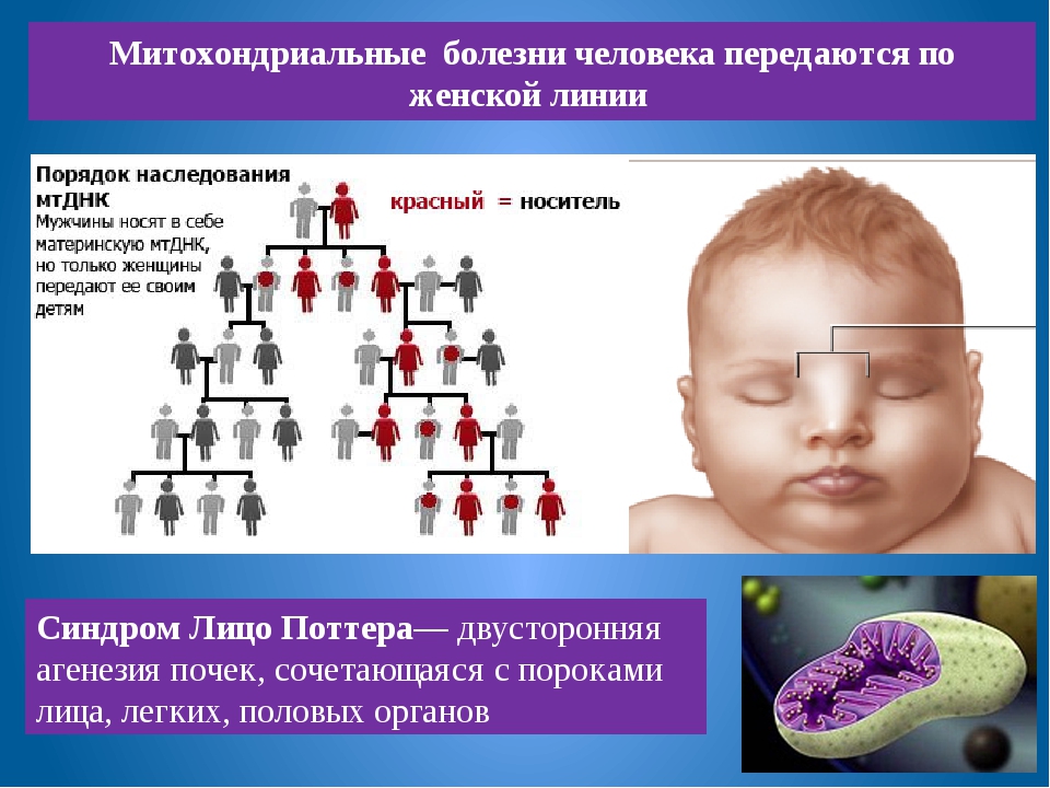 Какие болезни передаются от матери к сыну ~ детская городская поликлиника №1 г. магнитогорска