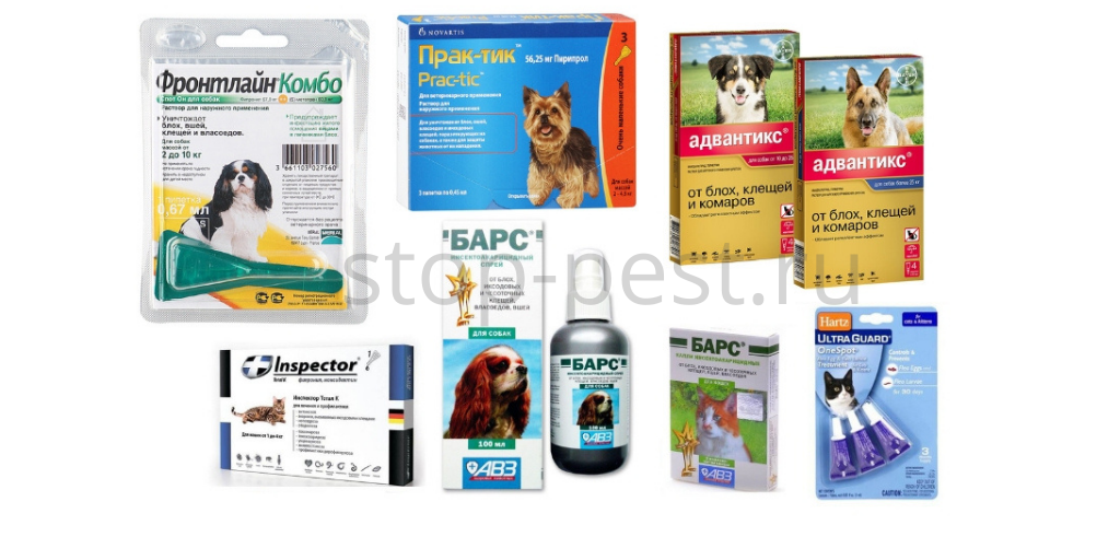 10 главных ошибок при защите от клещей