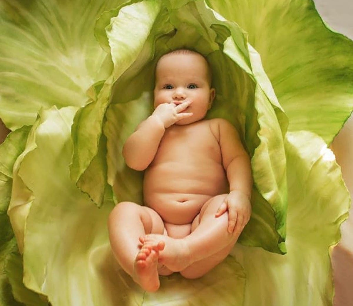 4 подсказки для удачной фотосессии младенца