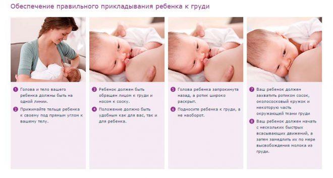 Как правильно кормить малышей грудью: рекомендации ВОЗ