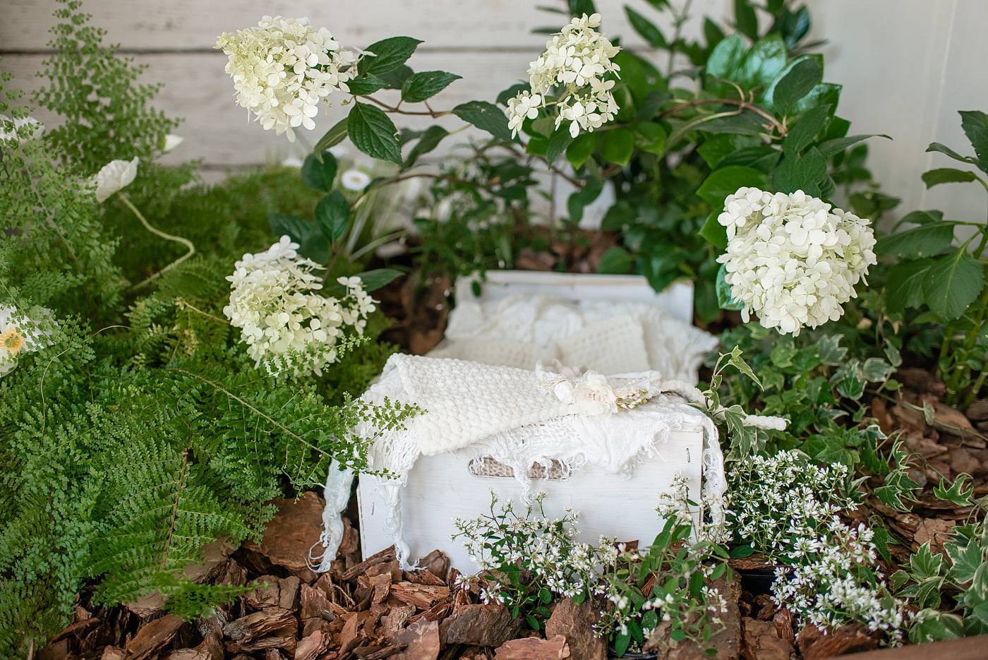 4 подсказки для удачной фотосессии младенца