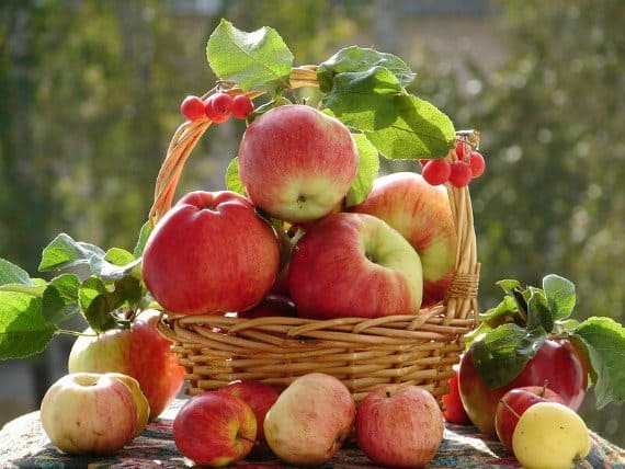 Яблочное пюре для грудничка из свежих яблок своими руками — рецепт