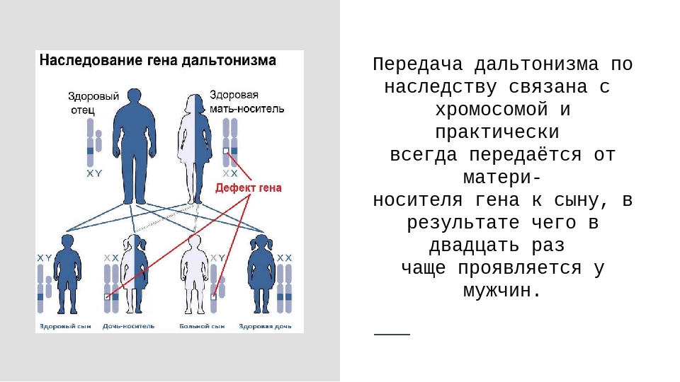 Шизофрения передается по наследству: механизм наследования и риски - энциклопедия ochkov.net