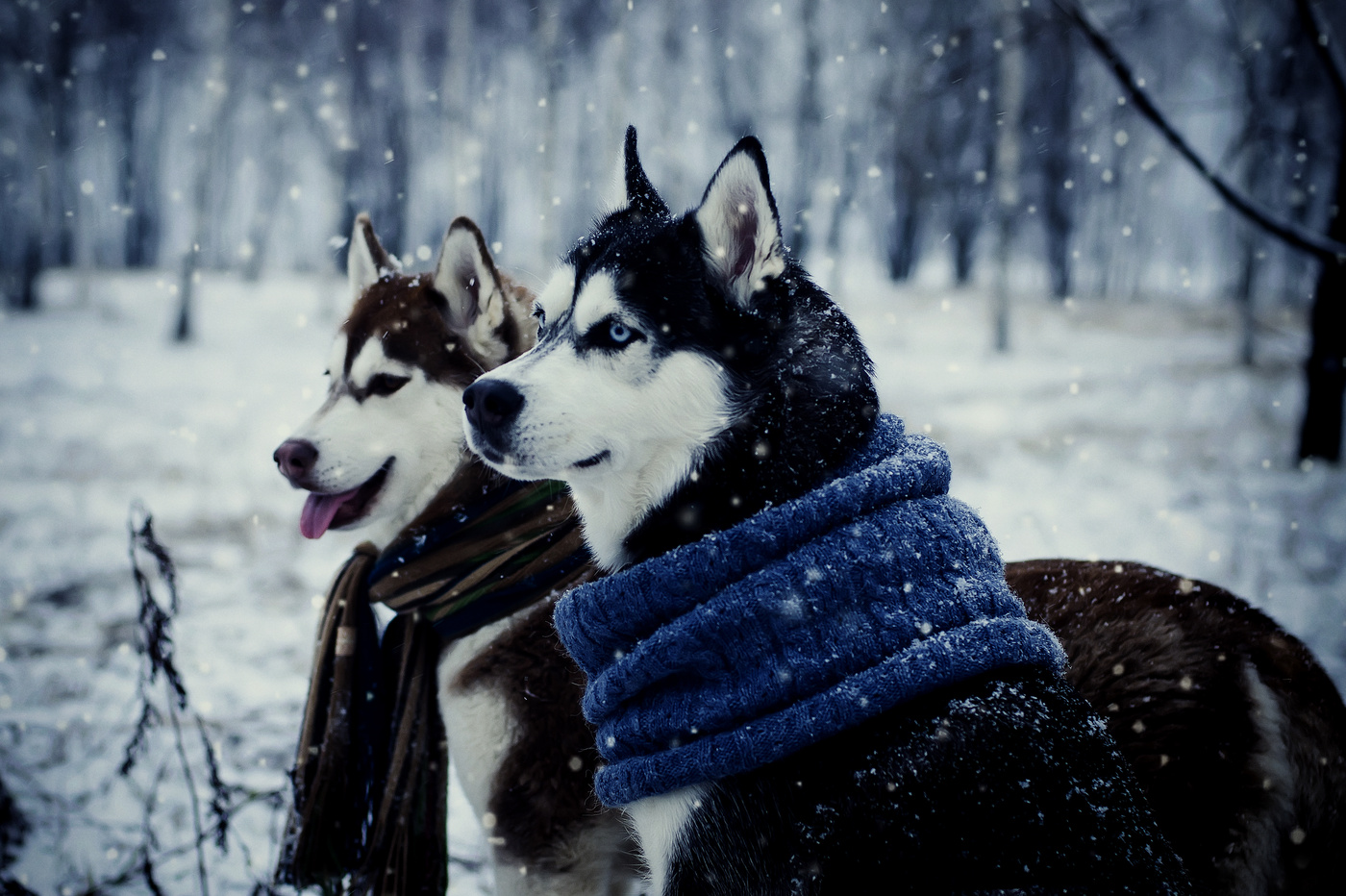 Чем заняться с ребенком до окончания зимы: предлагаем оптимальные варианты