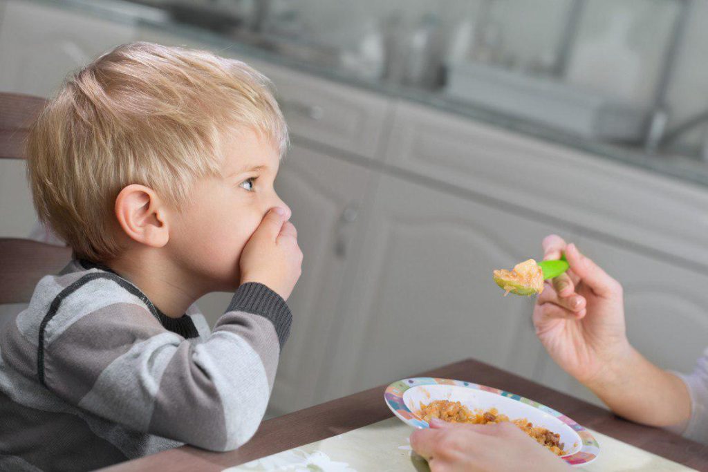 Учимся есть смолоду. почему ребенок часто не доедает и плохо ли это?